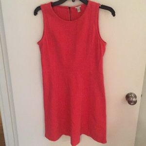 Jcrew Knit princess seam style dress